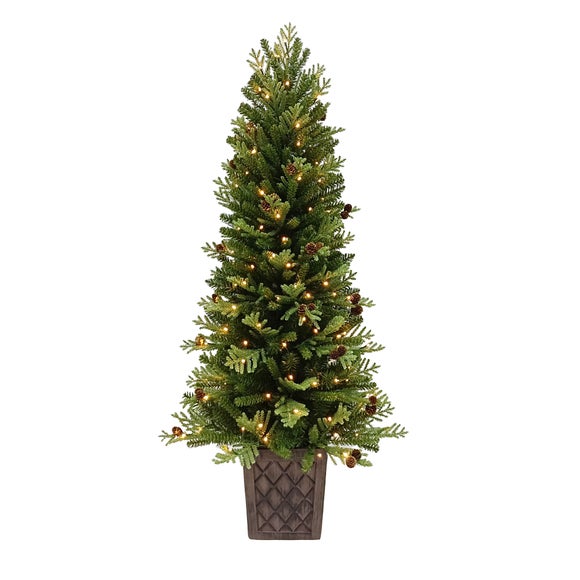 Click to view product details and reviews for 45ft Puzzelwood Fir Christmas Tree.