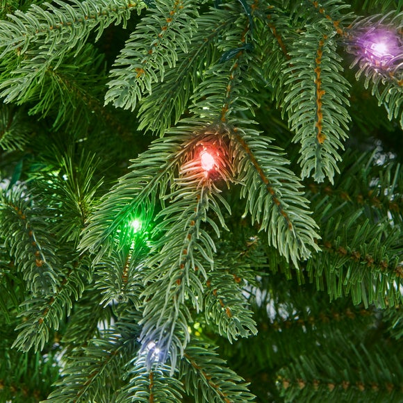 Carousel navigation image position 2 of 3