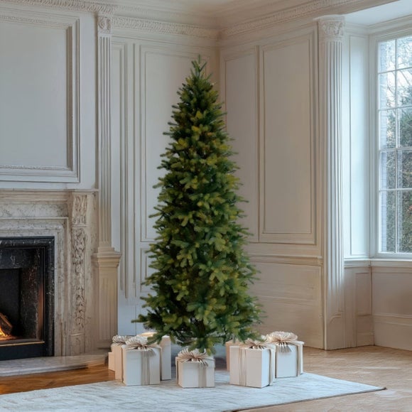 Click to view product details and reviews for 85ft Oakley Fir Slim Christmas Tree.