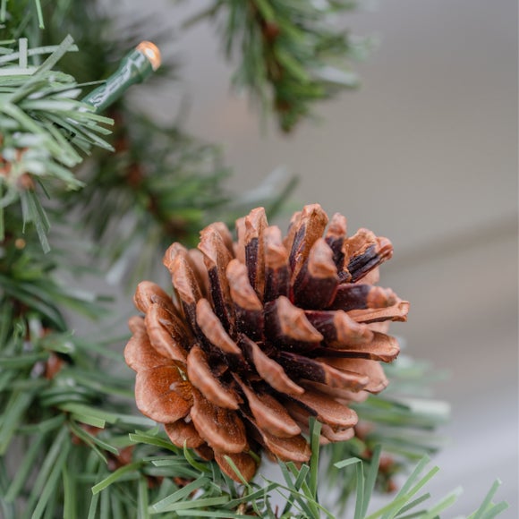 Carousel navigation image position 3 of 3