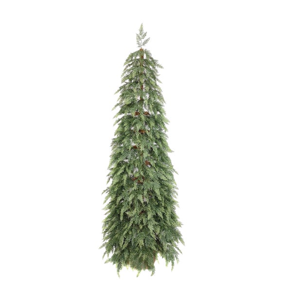 Click to view product details and reviews for 5ft Weeping Cedar Christmas Tree.