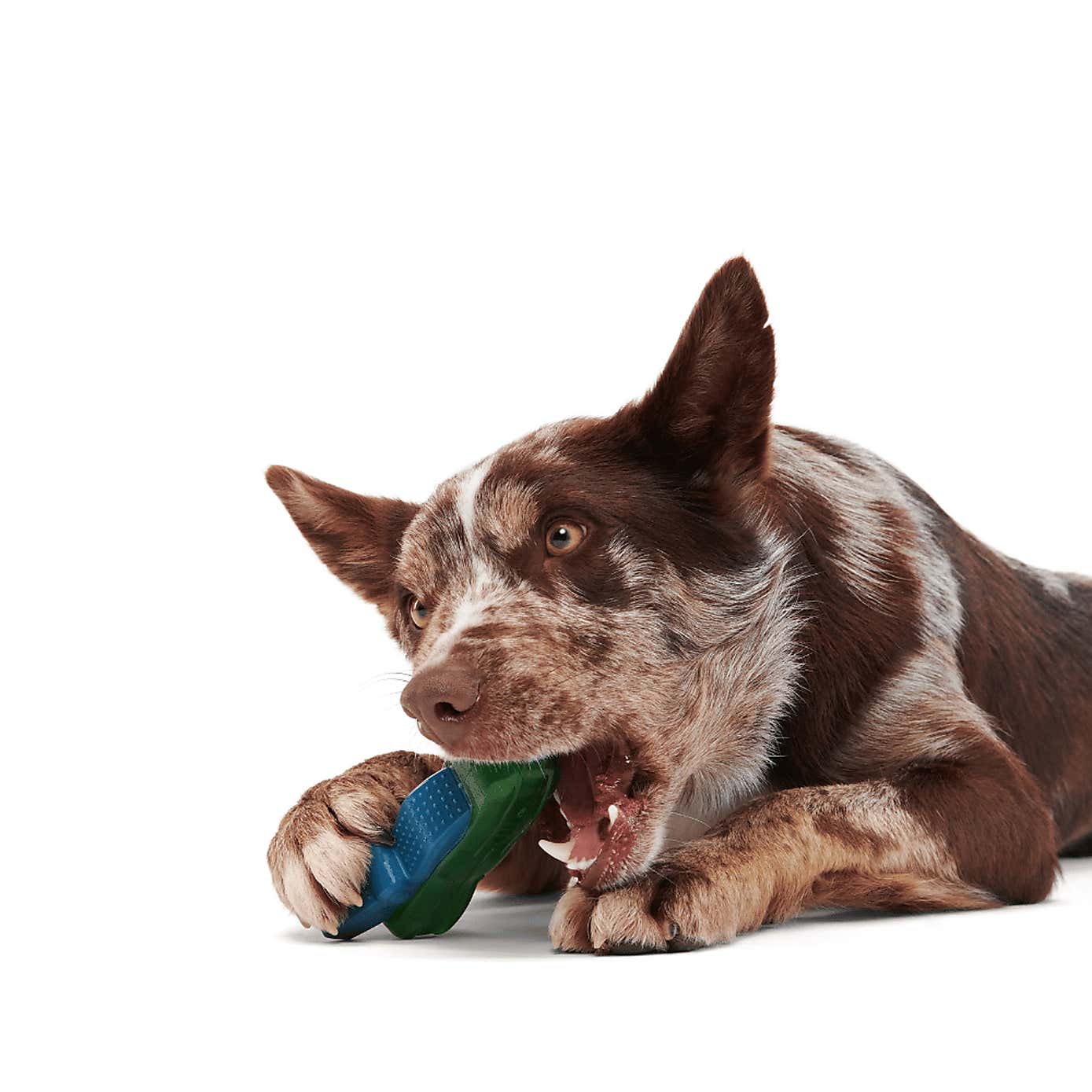 Carousel zoom image position 2 of 3