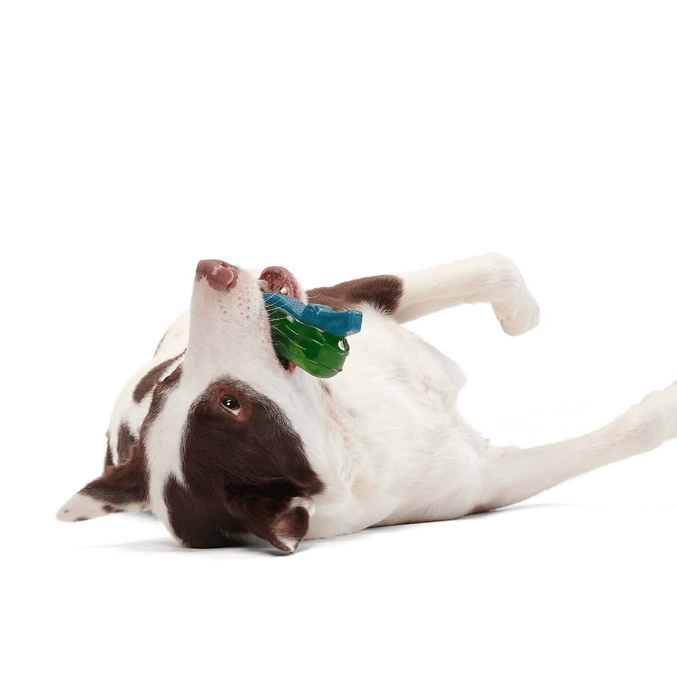 Carousel zoom image position 3 of 3