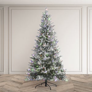 6.5ft Pre-lit Frosted Dalton Fir Christmas Tree