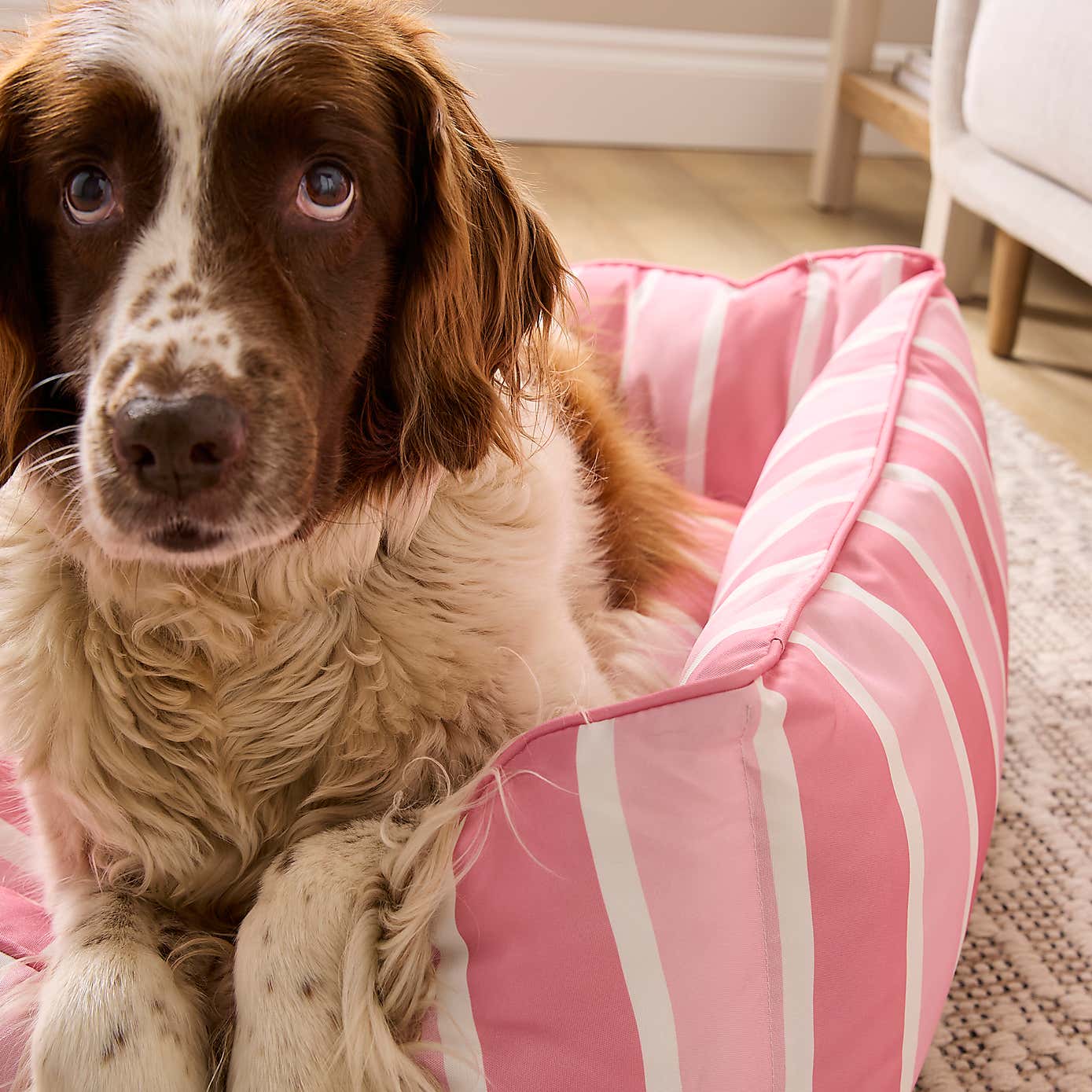 Carousel zoom image position 3 of 4