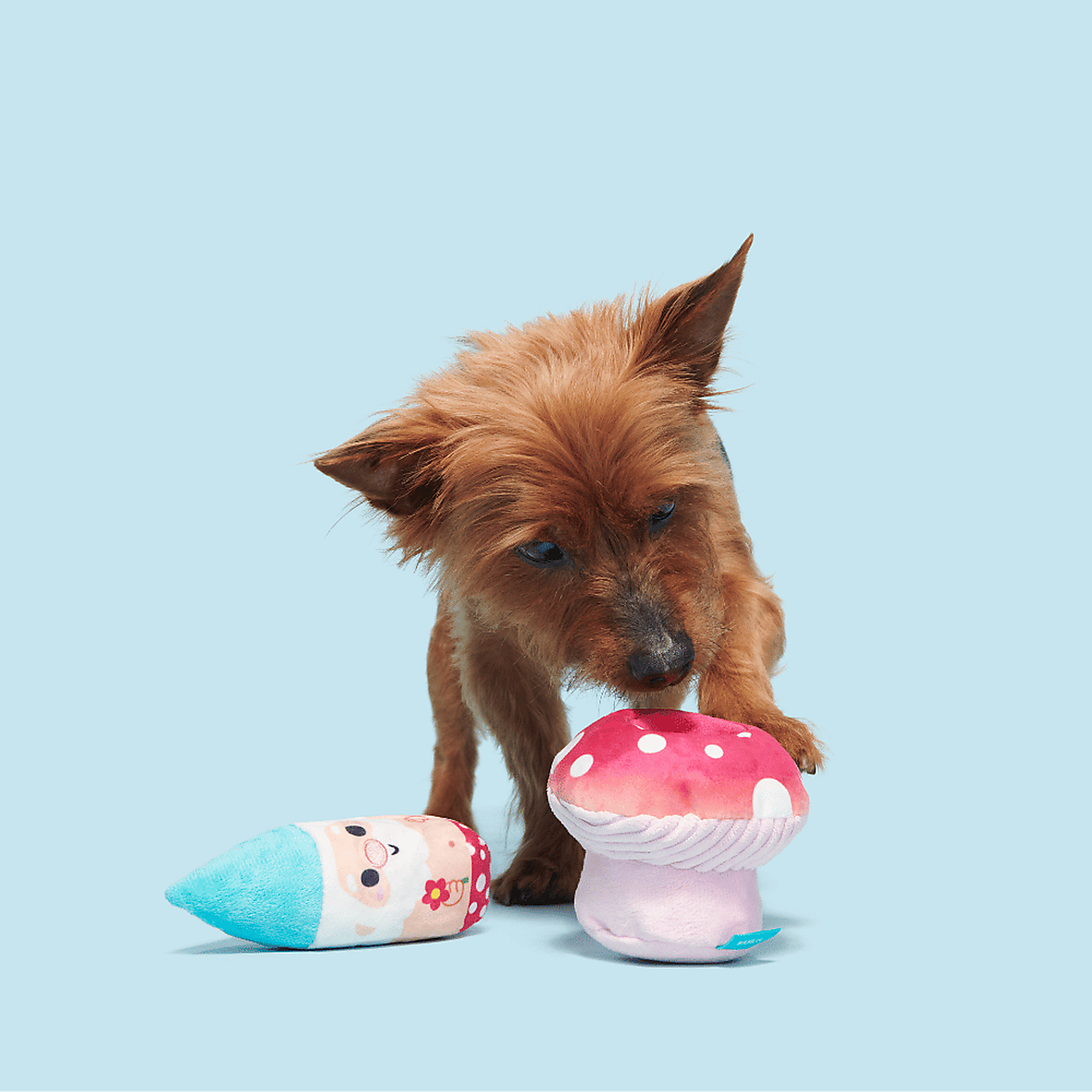 Carousel zoom image position 2 of 3