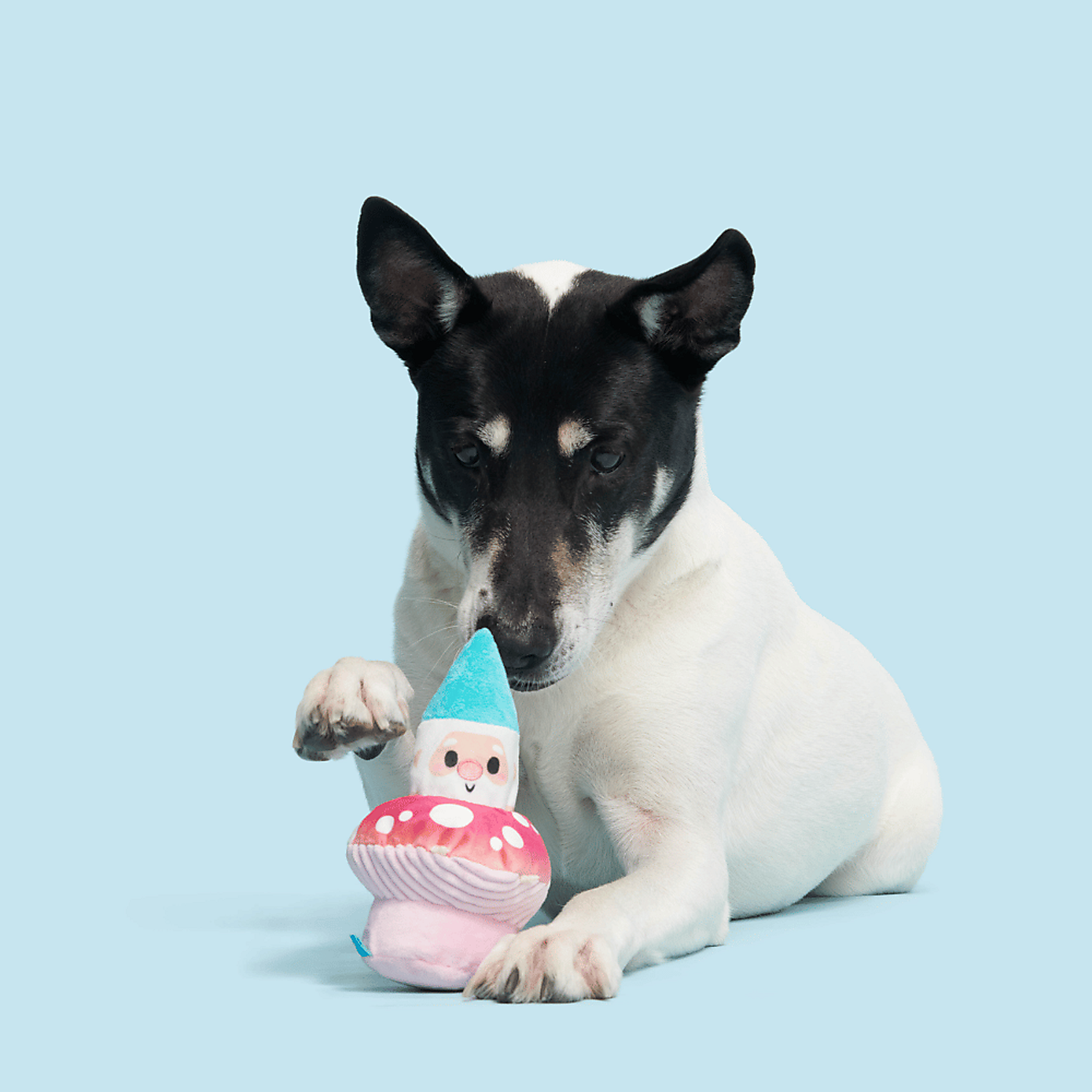 Carousel zoom image position 3 of 3