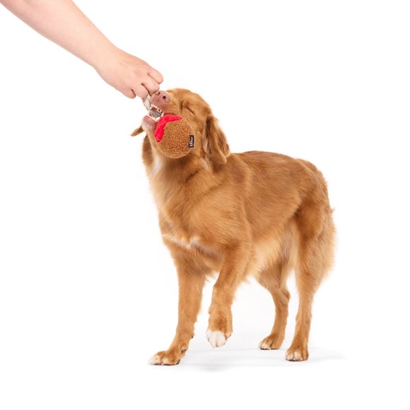 Carousel navigation image position 2 of 3