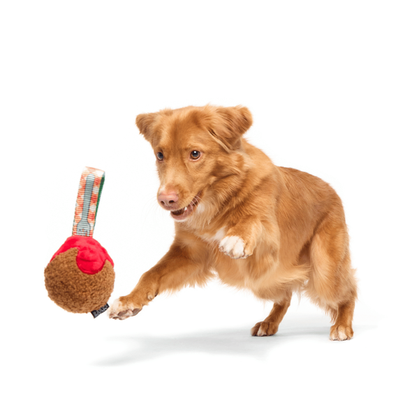 Carousel navigation image position 3 of 3