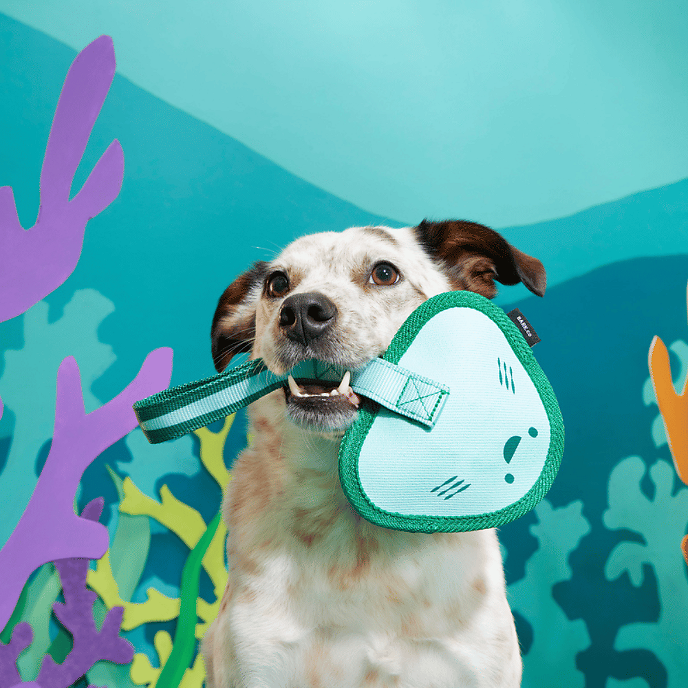 Carousel zoom image position 2 of 3