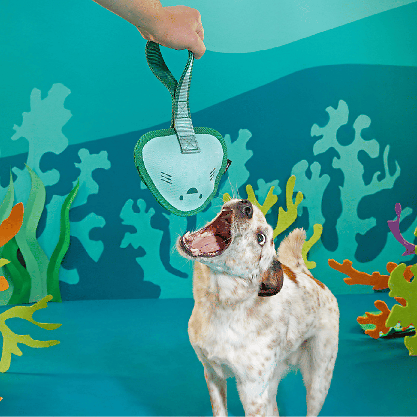 Carousel zoom image position 3 of 3