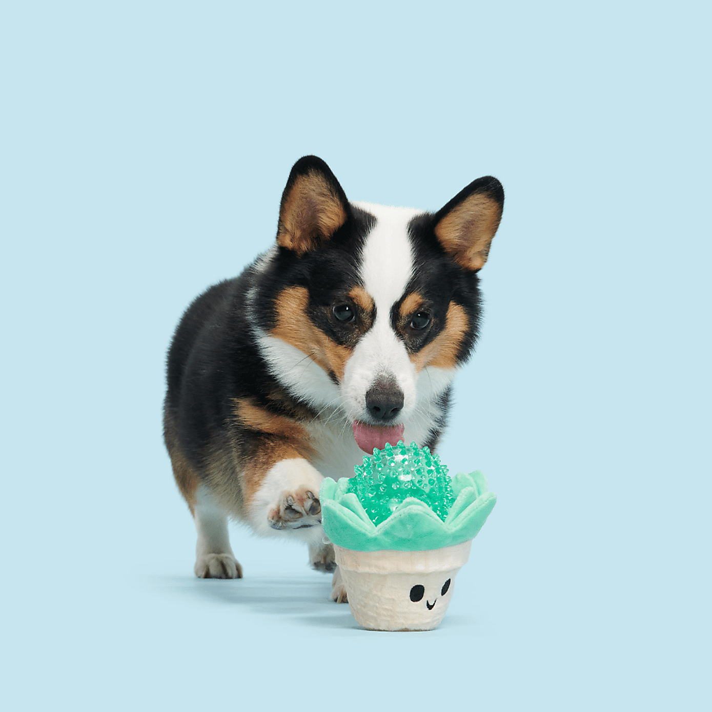 Carousel zoom image position 2 of 3