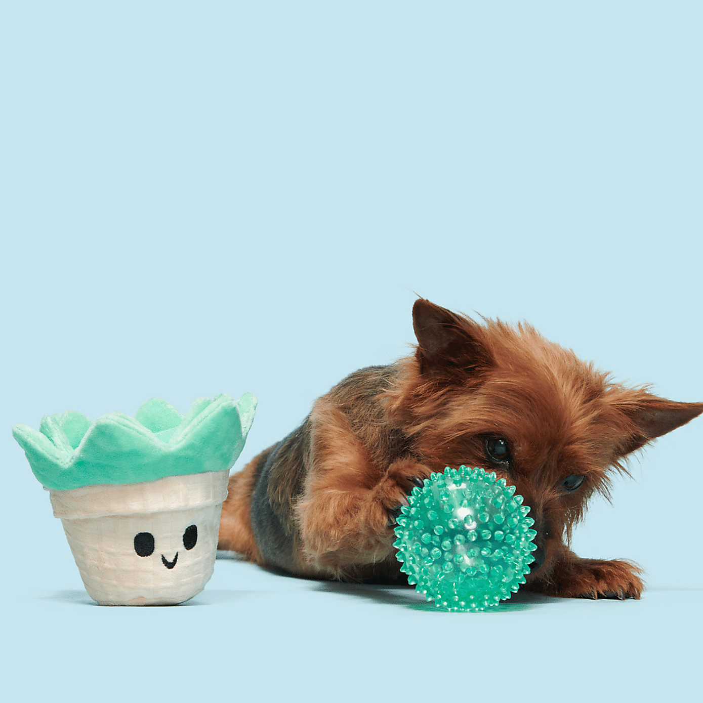 Carousel zoom image position 3 of 3