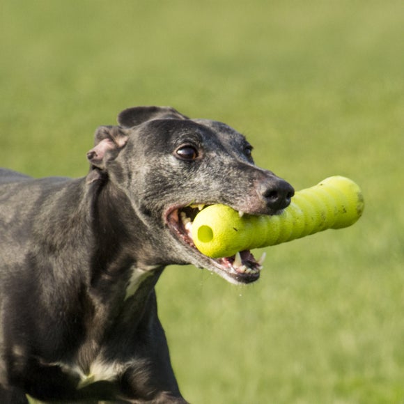 Carousel navigation image position 2 of 4