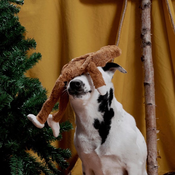 Carousel navigation image position 3 of 3