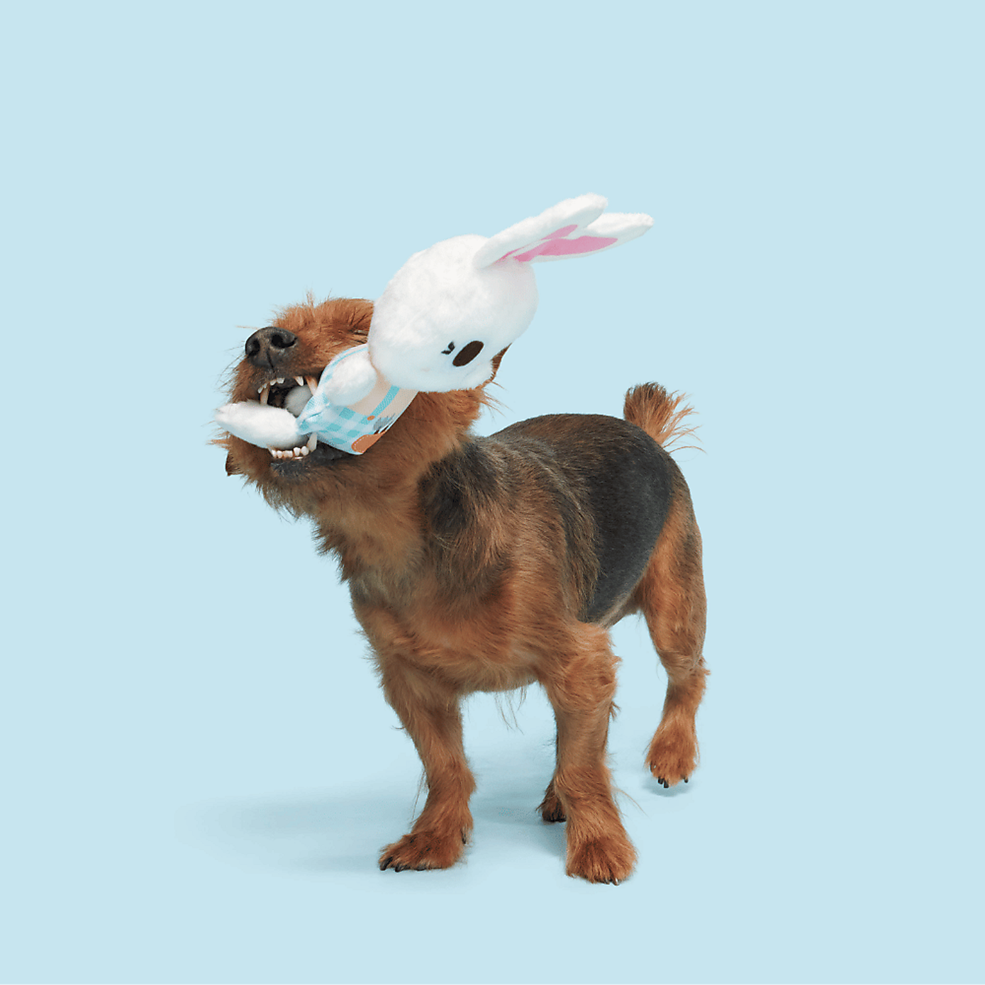 Carousel zoom image position 2 of 3