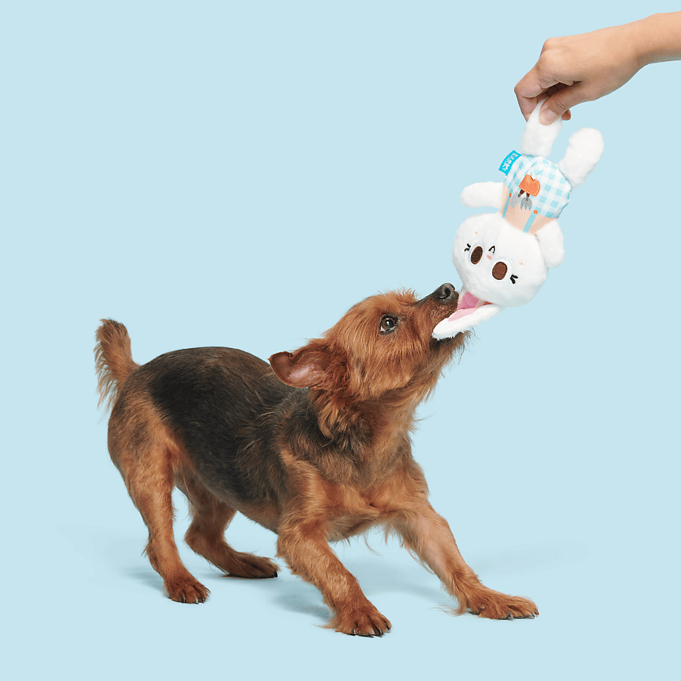 Carousel zoom image position 3 of 3