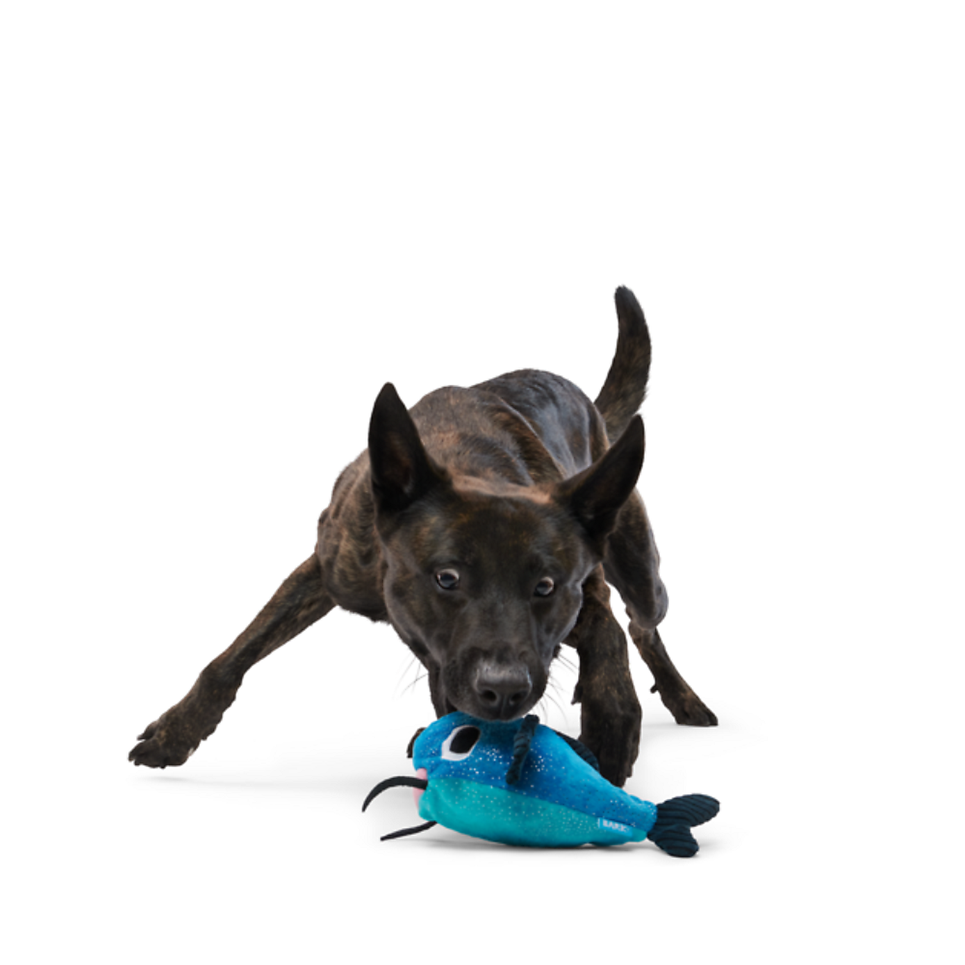 Carousel zoom image position 2 of 5