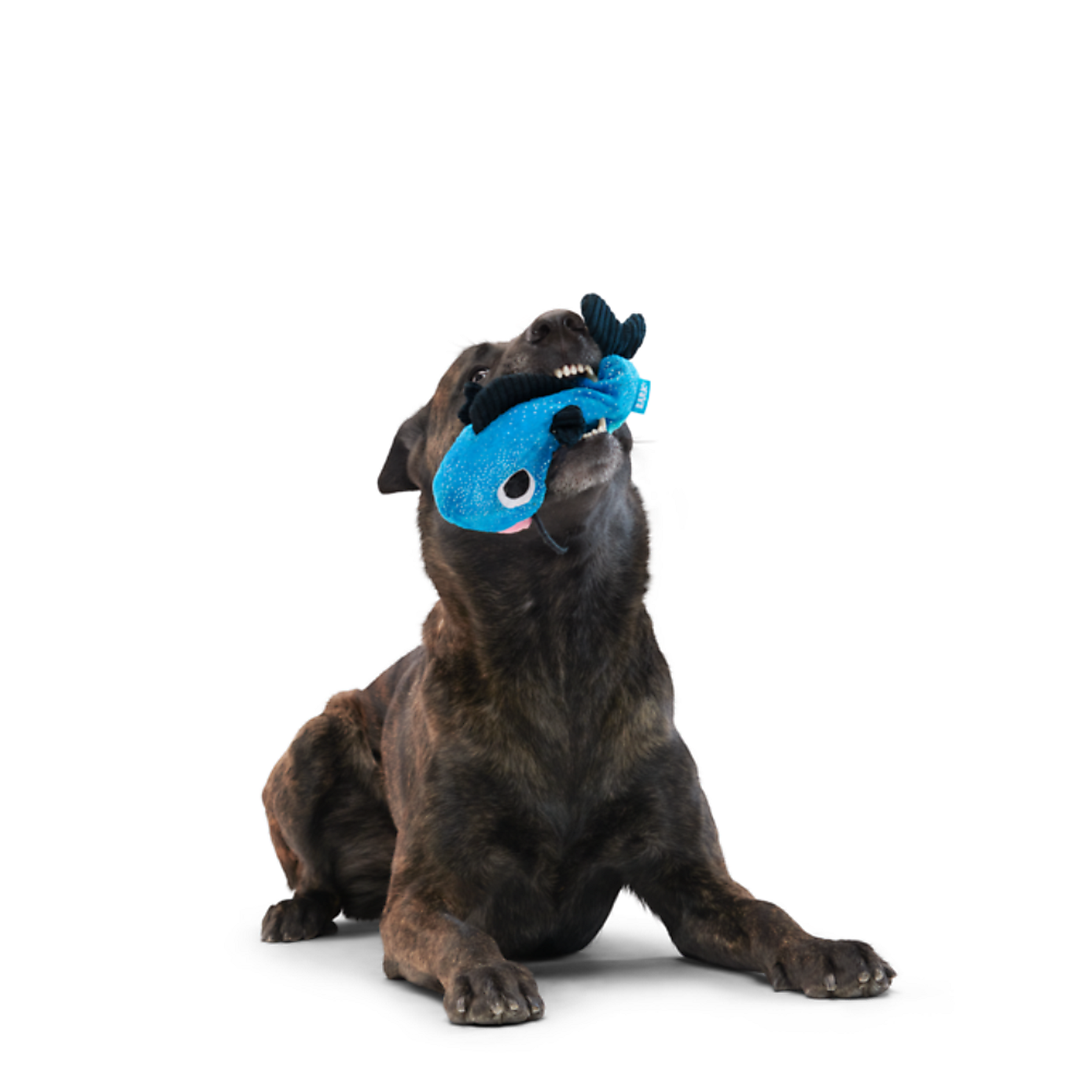 Carousel zoom image position 3 of 5