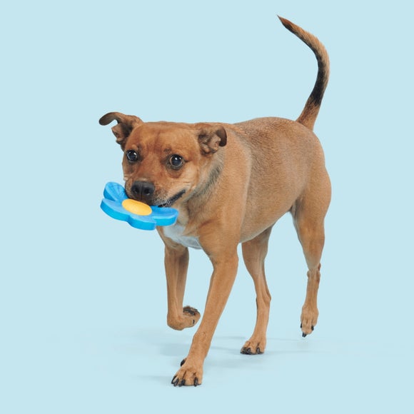 Carousel navigation image position 2 of 3