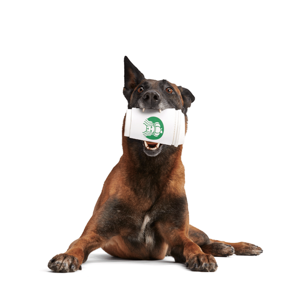 Carousel navigation image position 2 of 3