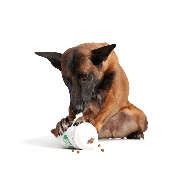 Carousel navigation image position 3 of 3