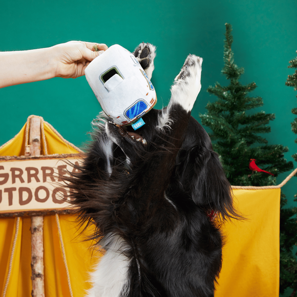 Carousel navigation image position 2 of 2