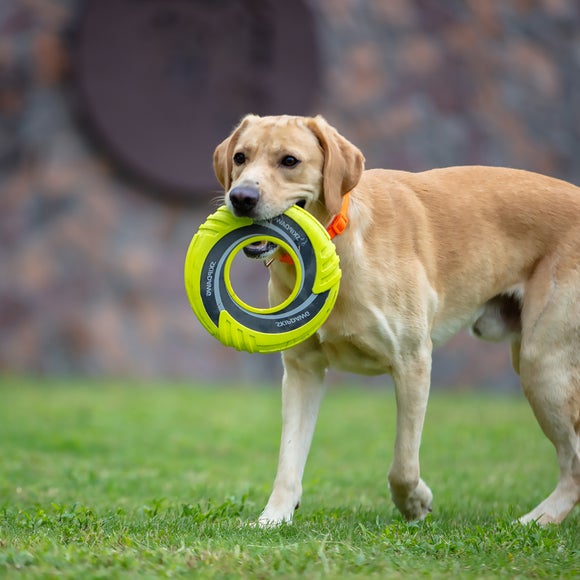 Skipdawg Duroflex Disc Dog Toy