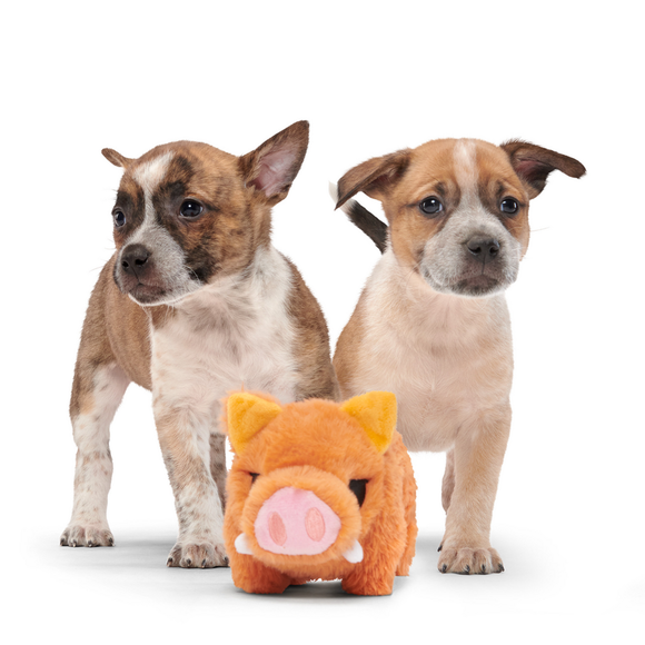 Bark Beau the Boar Plush Dog Toy