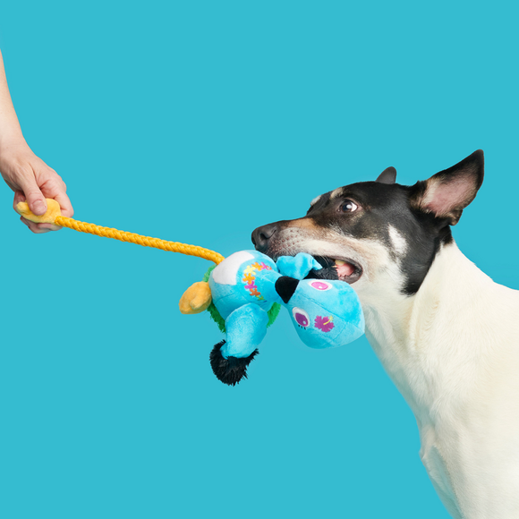 Carousel navigation image position 2 of 4