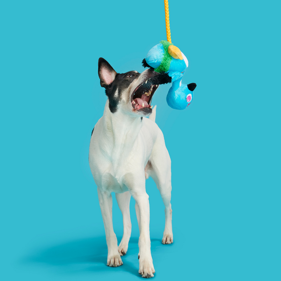 Carousel navigation image position 3 of 4