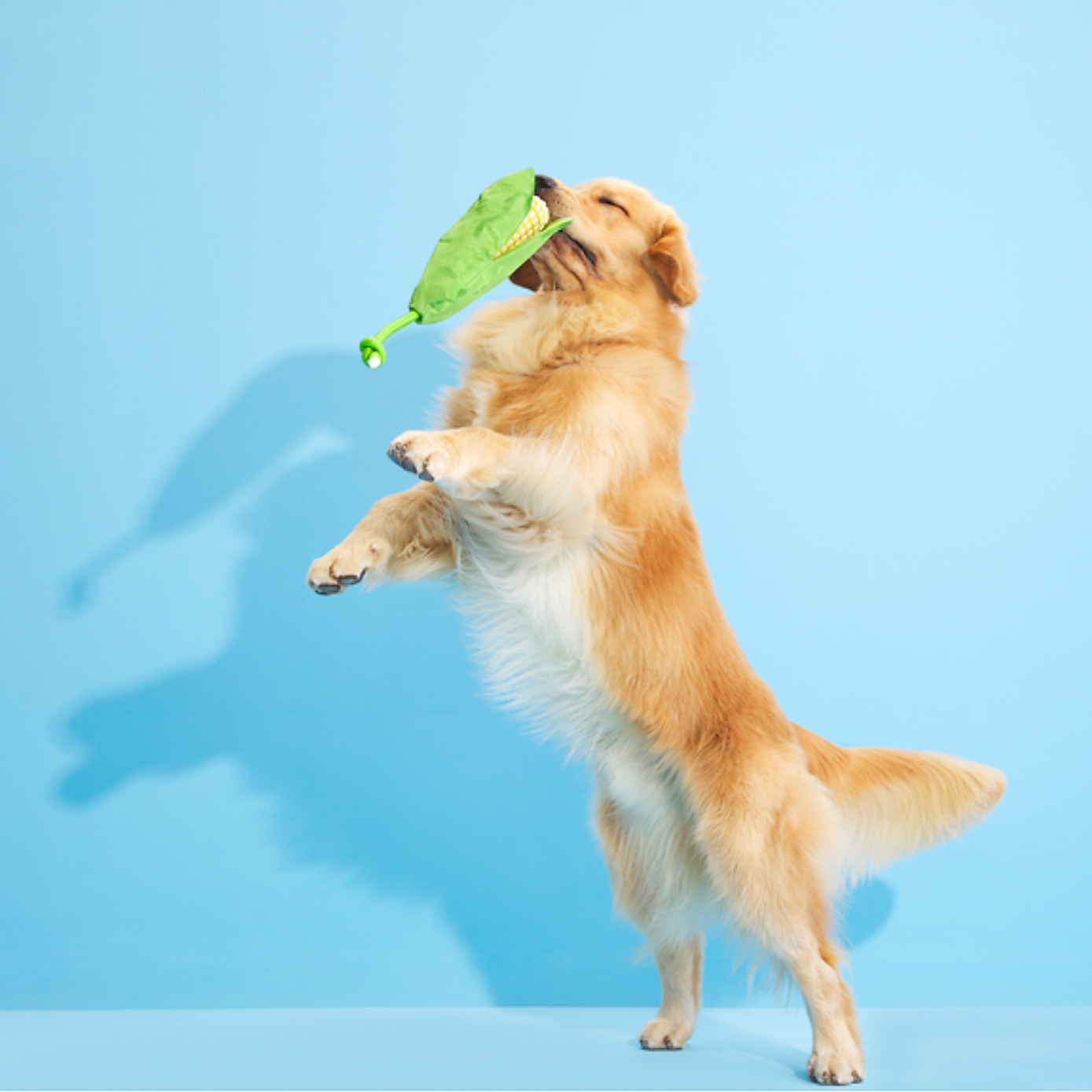 Carousel zoom image position 2 of 3