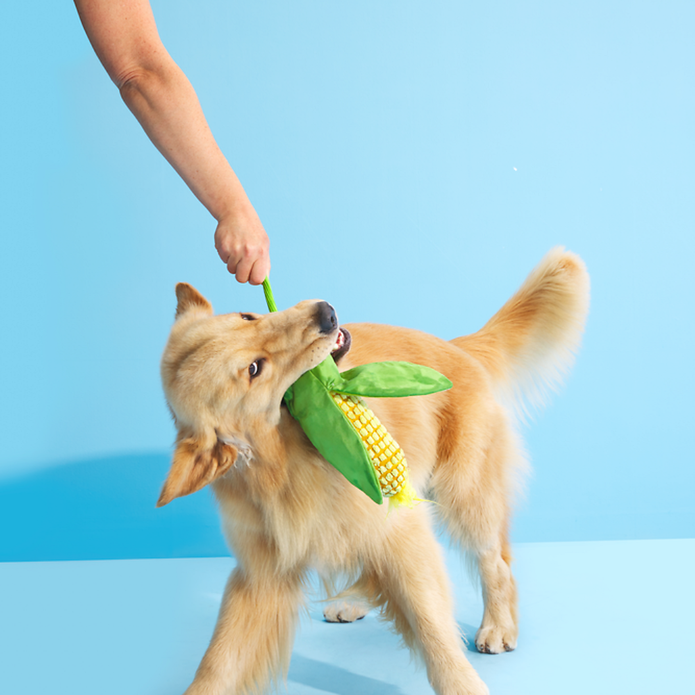 Carousel zoom image position 3 of 3