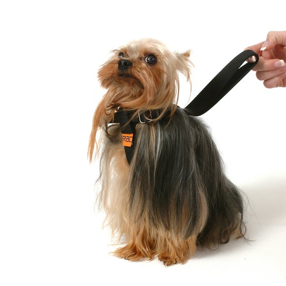 RAC 2-in-1 Dog Car Harness