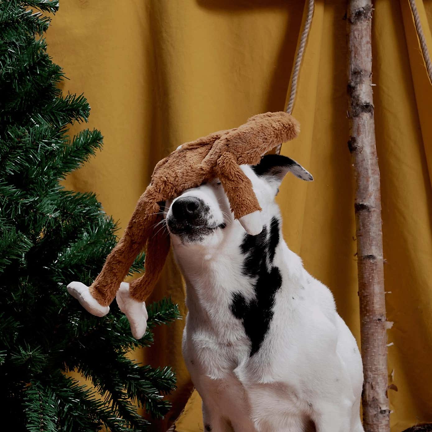 Carousel zoom image position 3 of 3