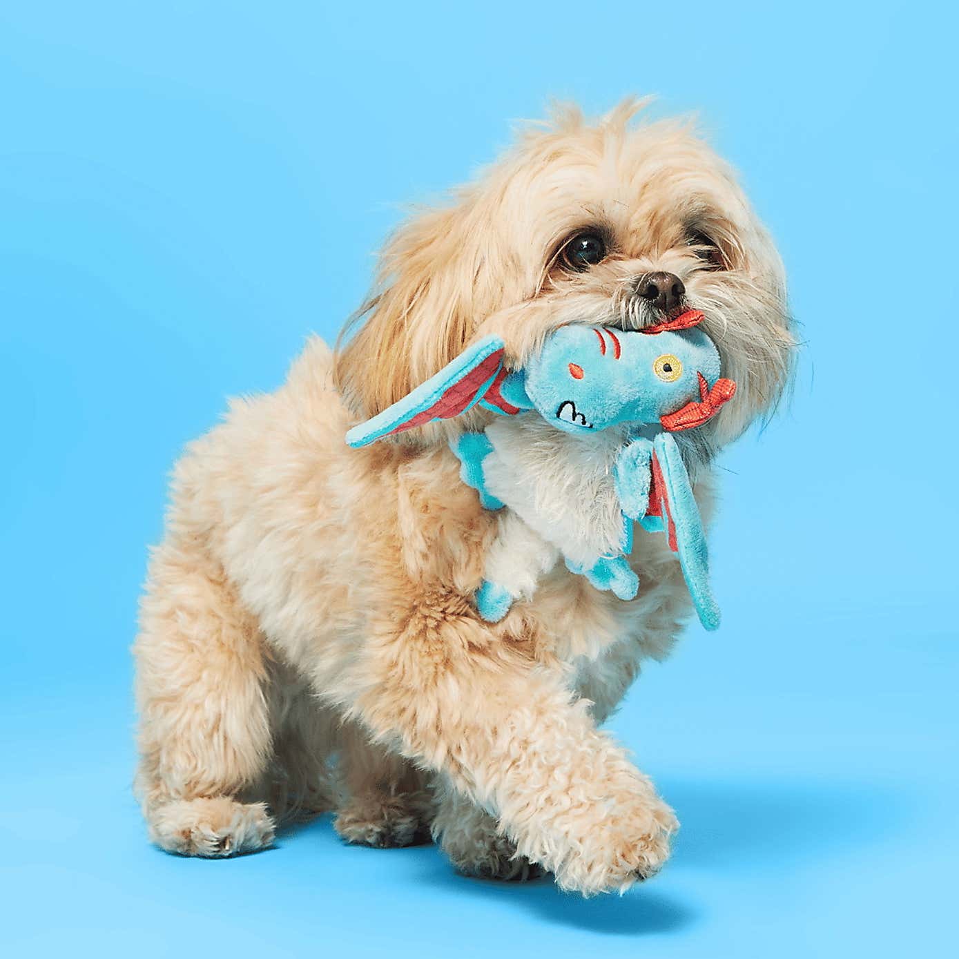 Carousel zoom image position 2 of 5