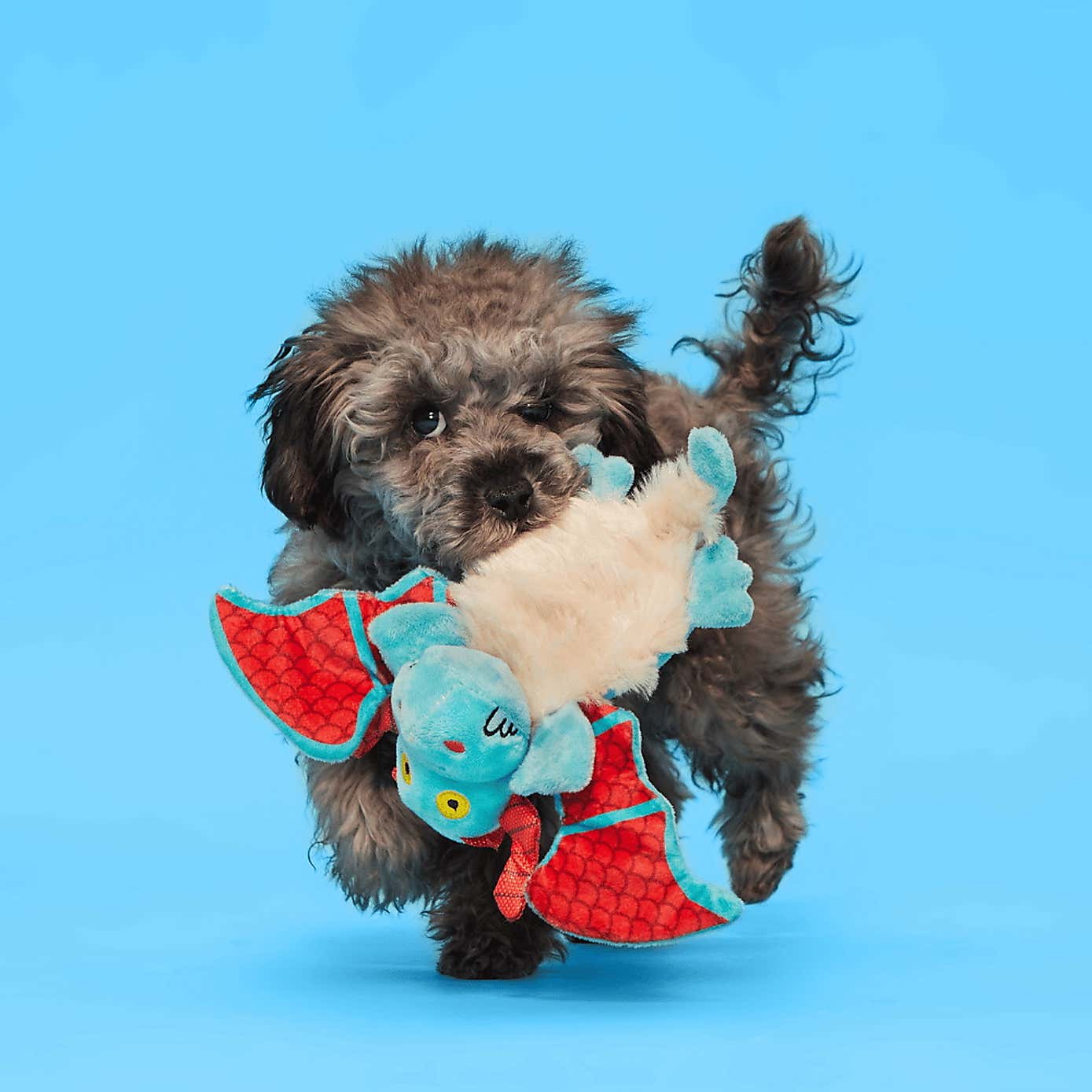 Carousel zoom image position 3 of 5