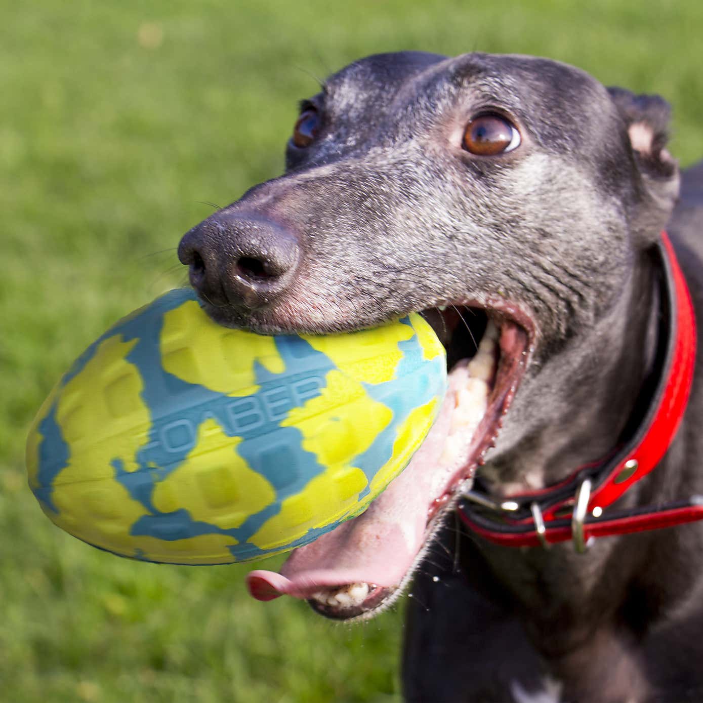 Carousel zoom image position 2 of 2