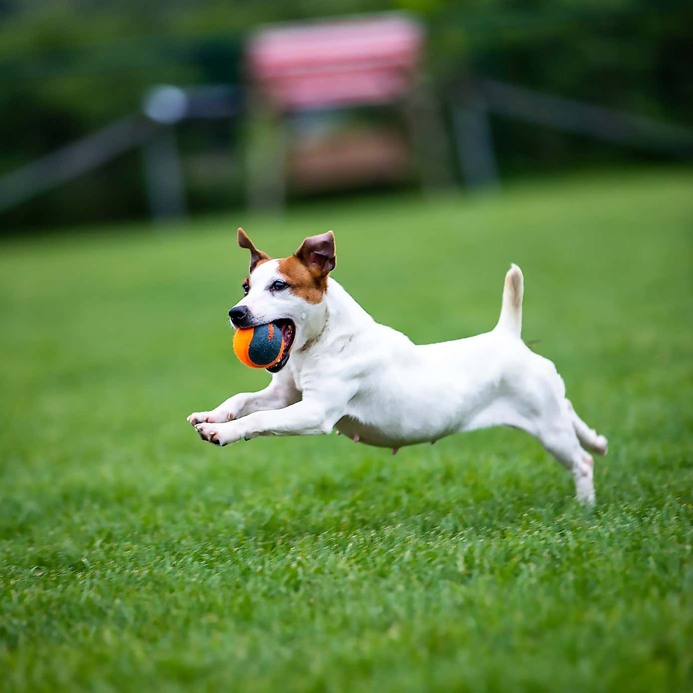 Carousel zoom image position 2 of 6