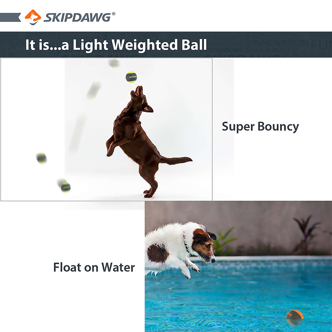 Carousel zoom image position 4 of 6