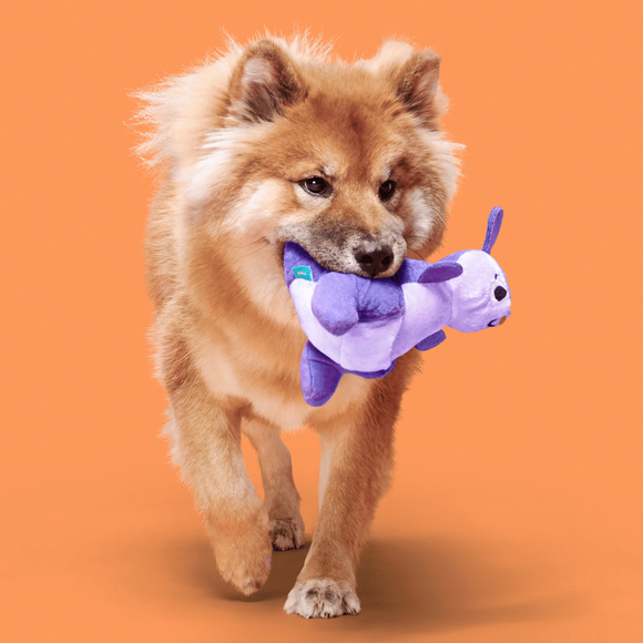 Carousel navigation image position 2 of 3