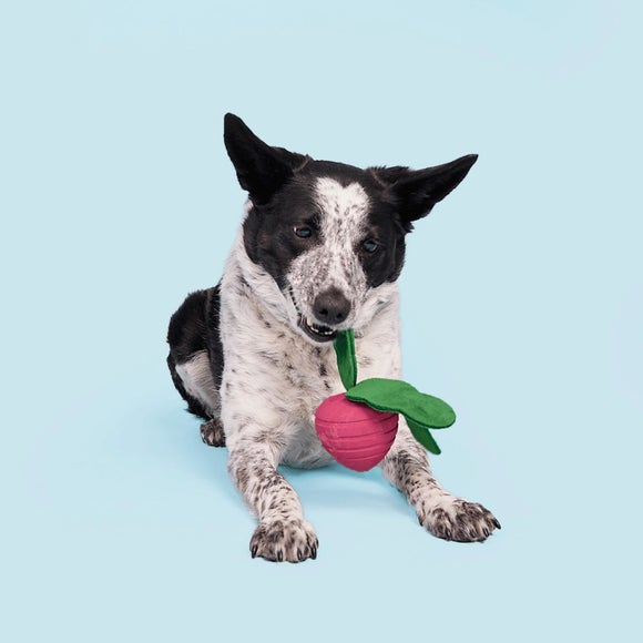 Bark Turnt Up Turnip Dog Toy
