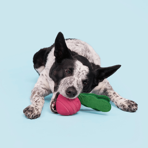 Carousel navigation image position 2 of 3