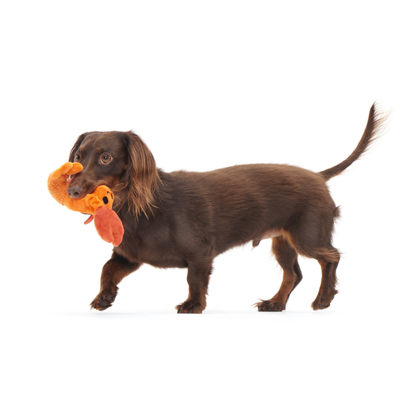 Carousel navigation image position 2 of 4