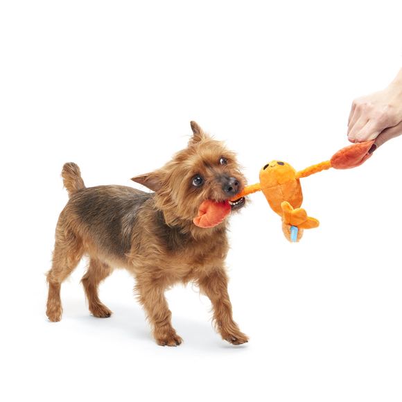 Carousel navigation image position 3 of 4