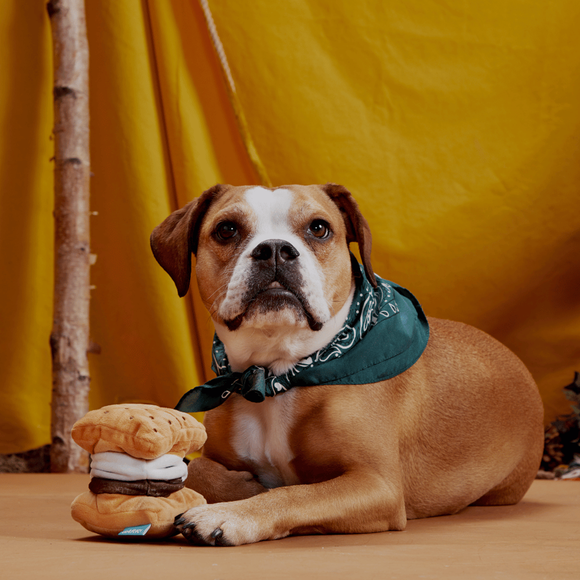 Bark More S'mores Plush Dog Toy