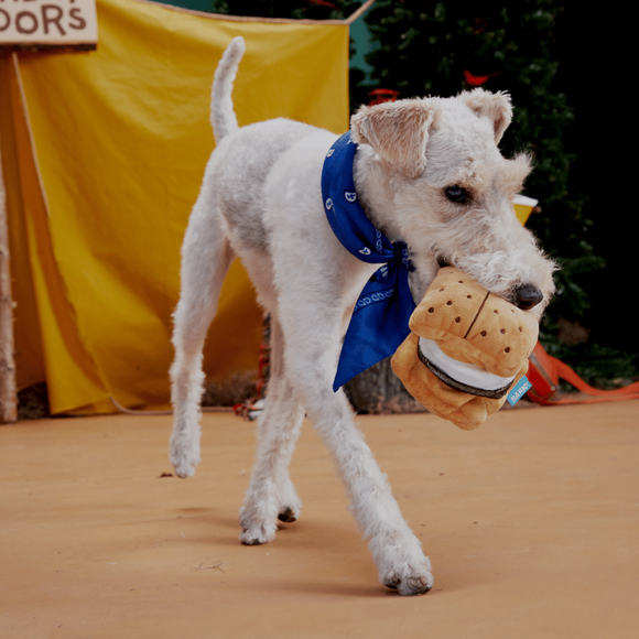 Carousel navigation image position 2 of 3