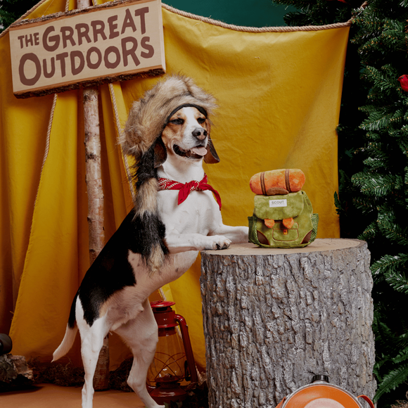 Carousel navigation image position 2 of 3