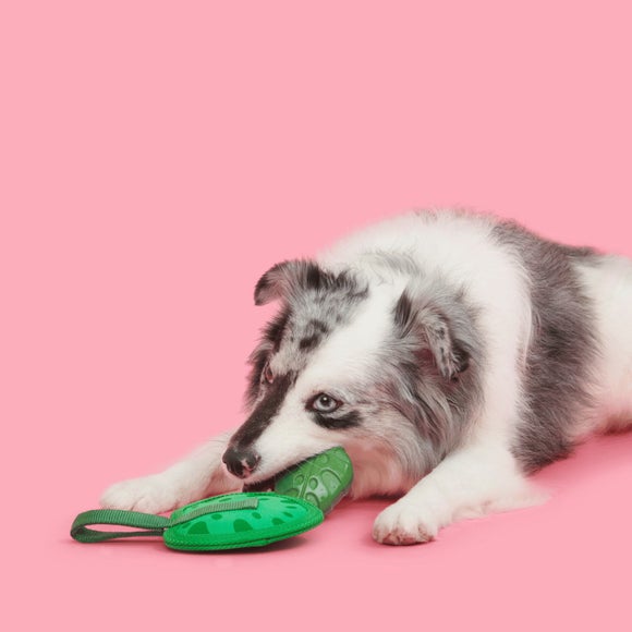 Carousel navigation image position 2 of 3