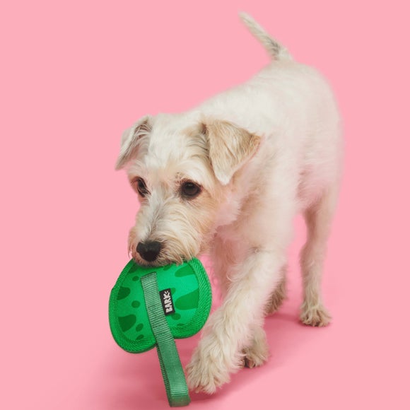 Carousel navigation image position 3 of 3